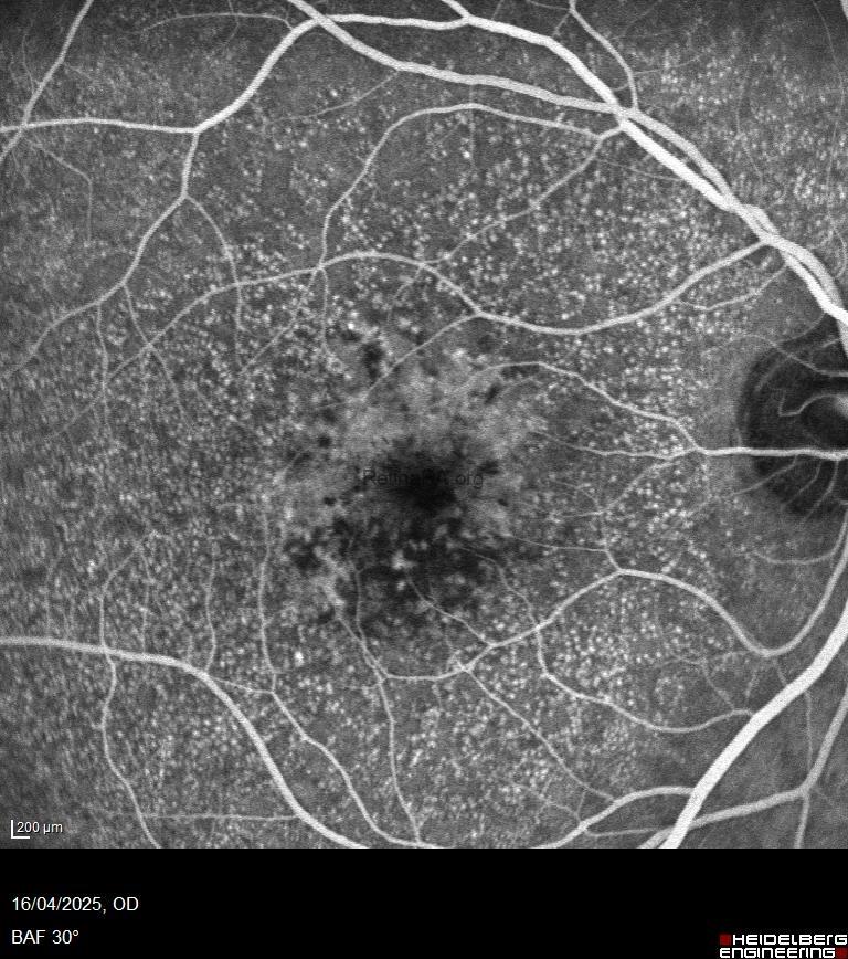 31dd9f5e-2ff2-4ef3-ab2f-c85b2587f780dIyuJ24