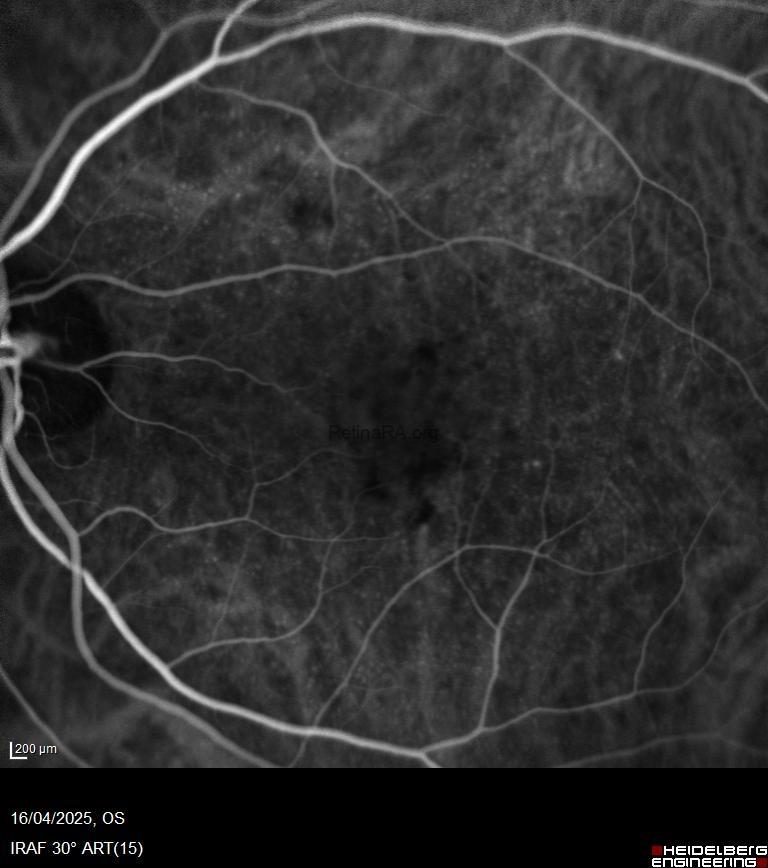 63d1368b-fe3e-4eff-841a-39f4bce375c3mNJFmd9