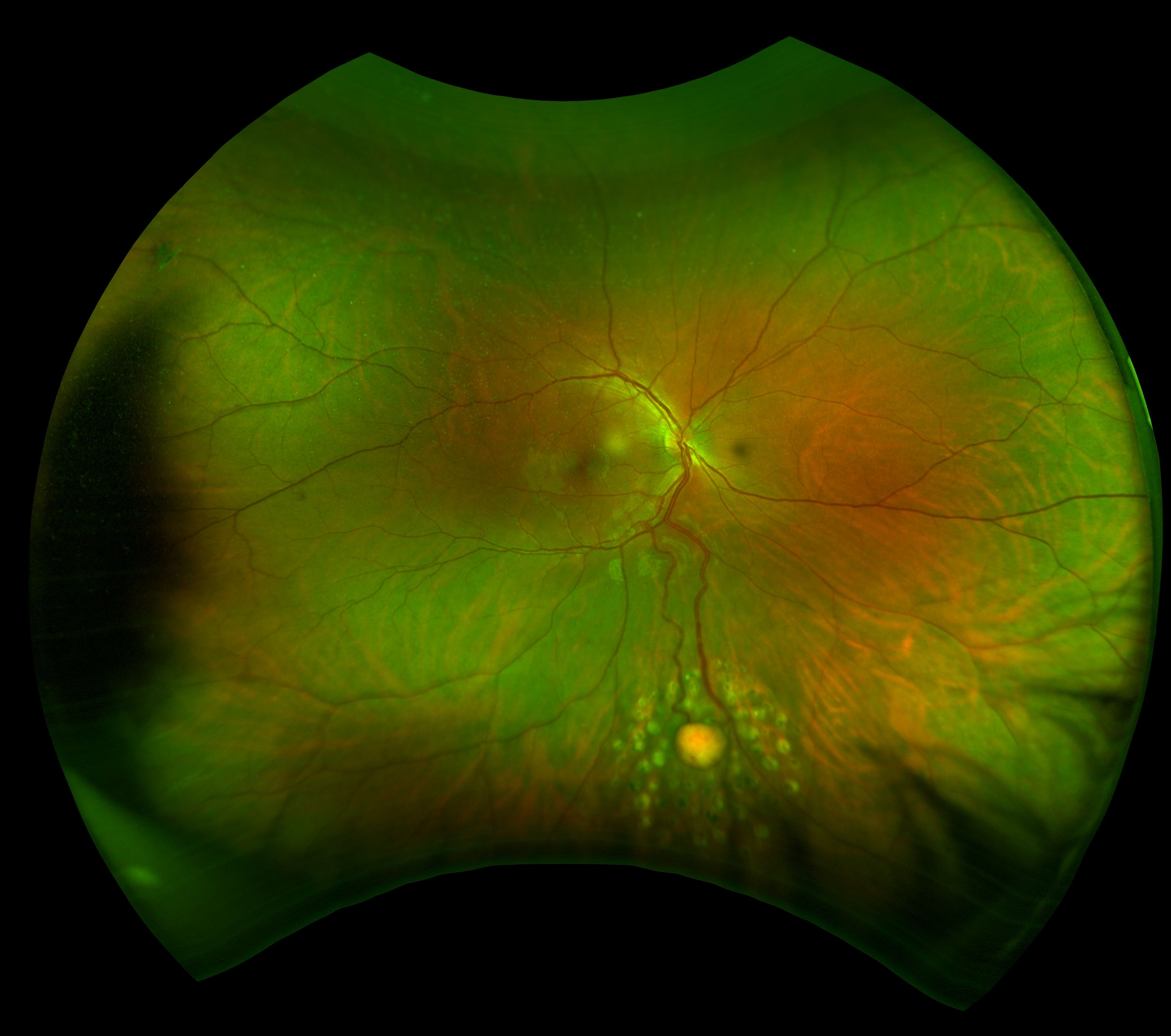 7522E4D7-9627-4C94-BBFA-98BFB3B3FE88avDJ0sk