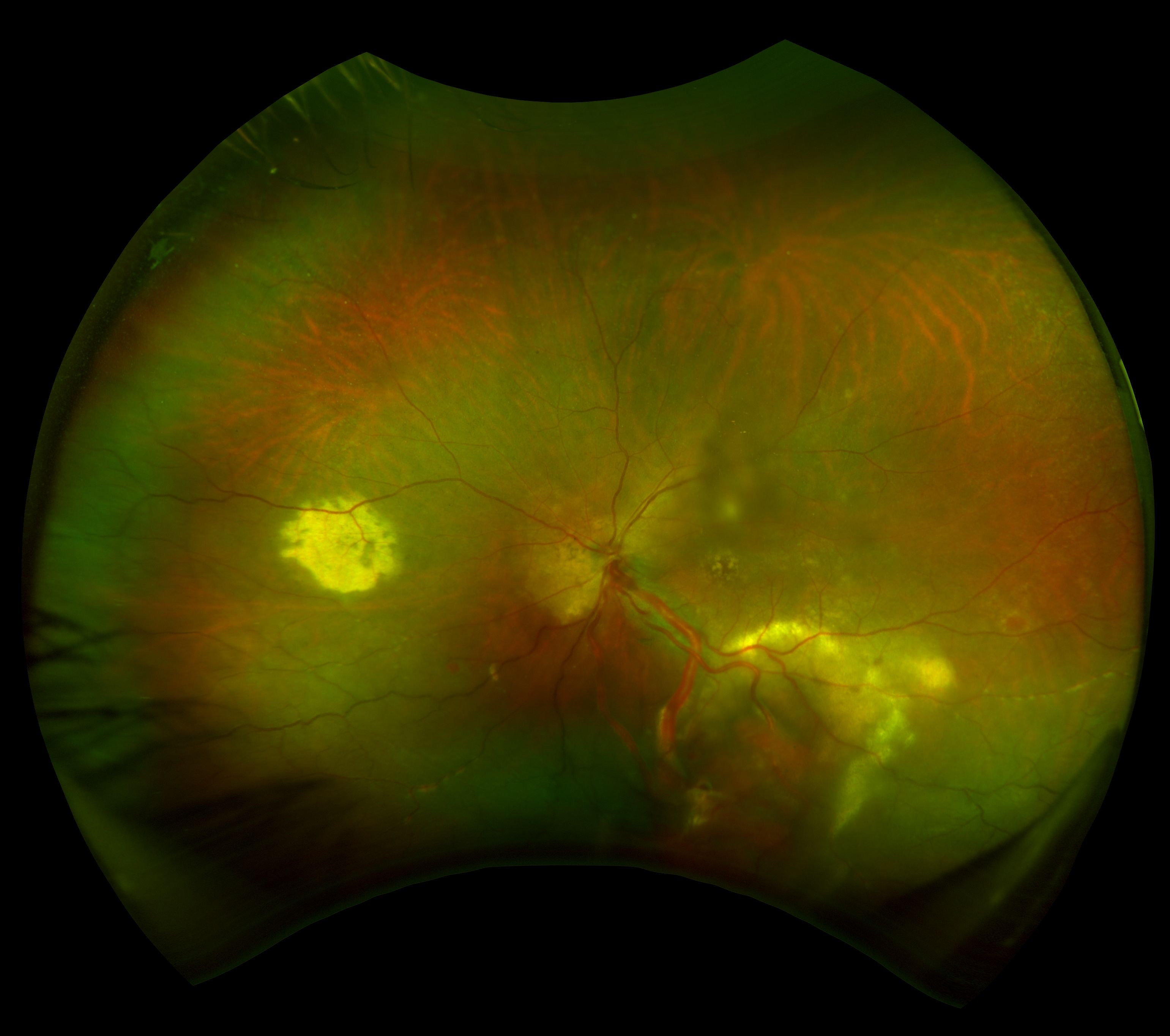 D51D42B2-4CDC-4CAF-9E8C-C404609CF56FXgCgjPA