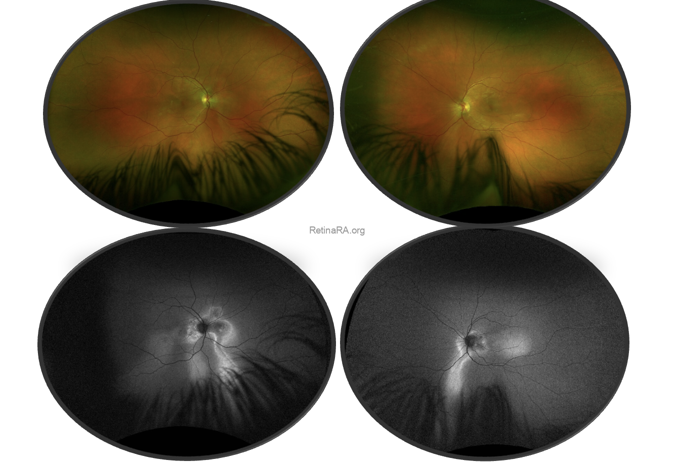 Capture-decran-2026-03-29-a-18.48.14