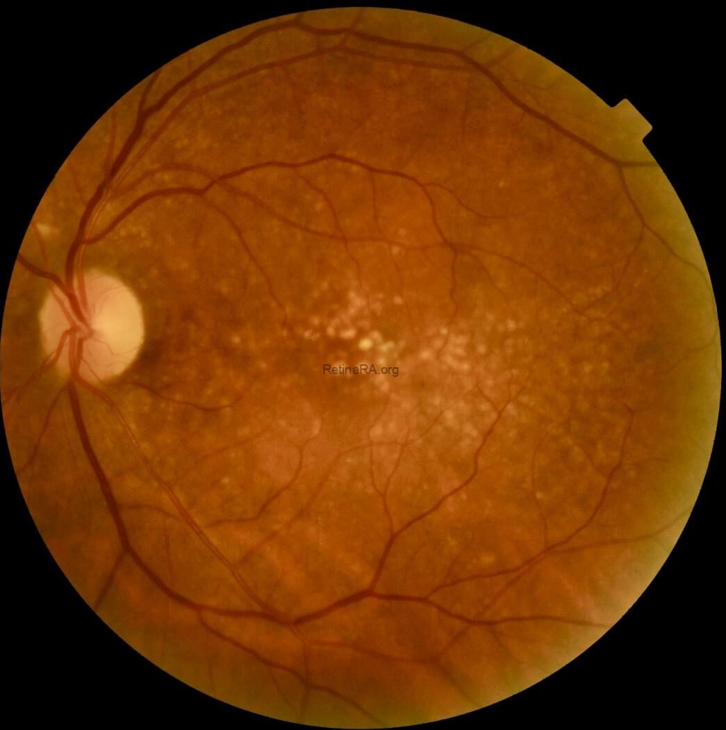 e6f3ab72-aa6d-4dd3-ba70-9f74dd07549bW42Bp4Z